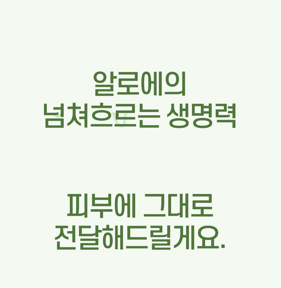 6_01.gif