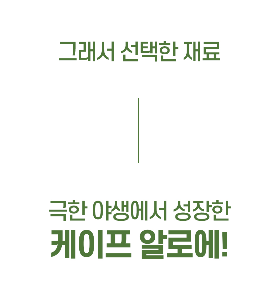 2_01.jpg