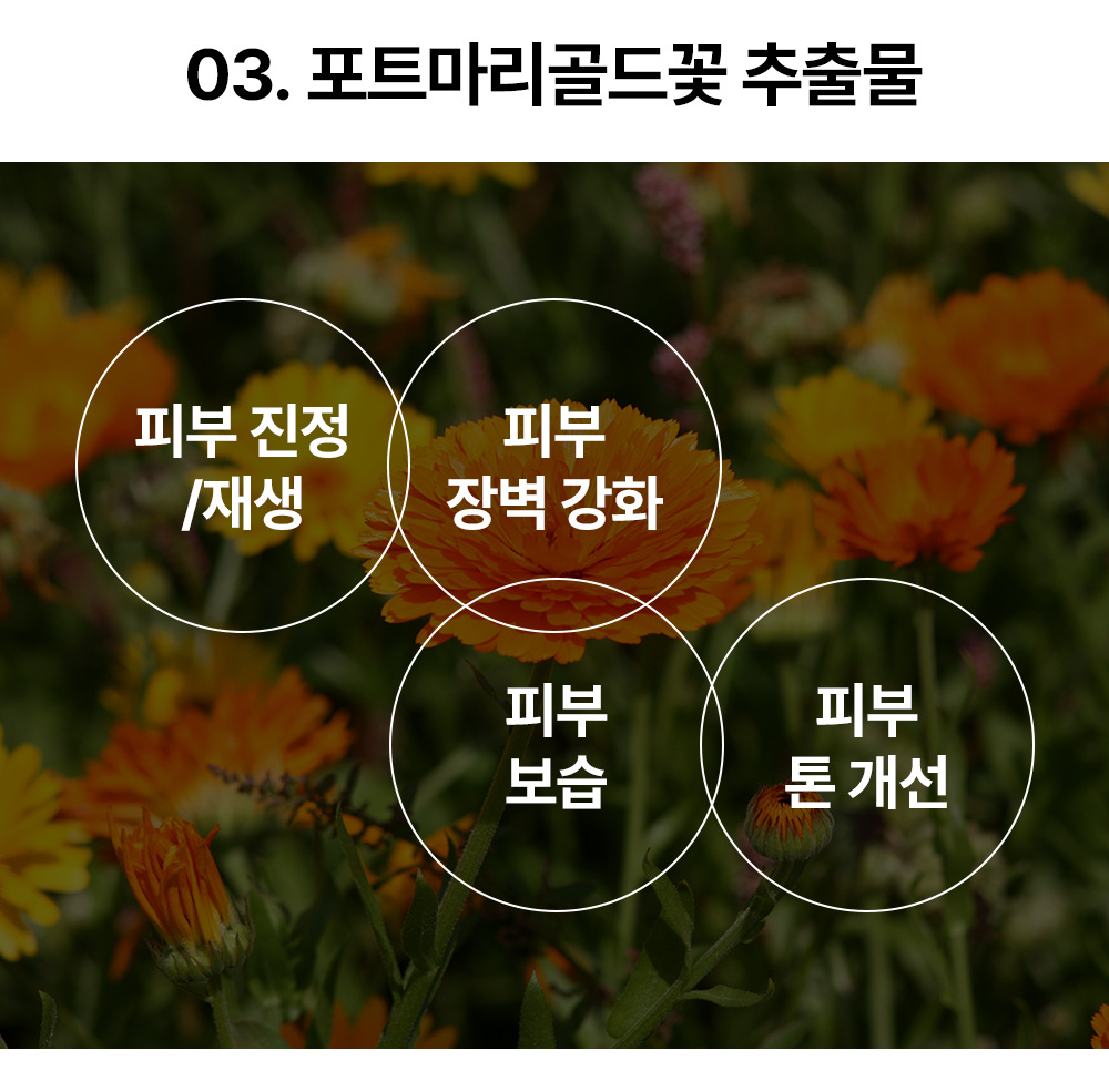 레이어 18.jpg