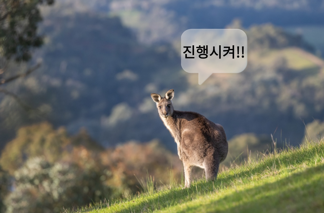 오픈알림-003.png