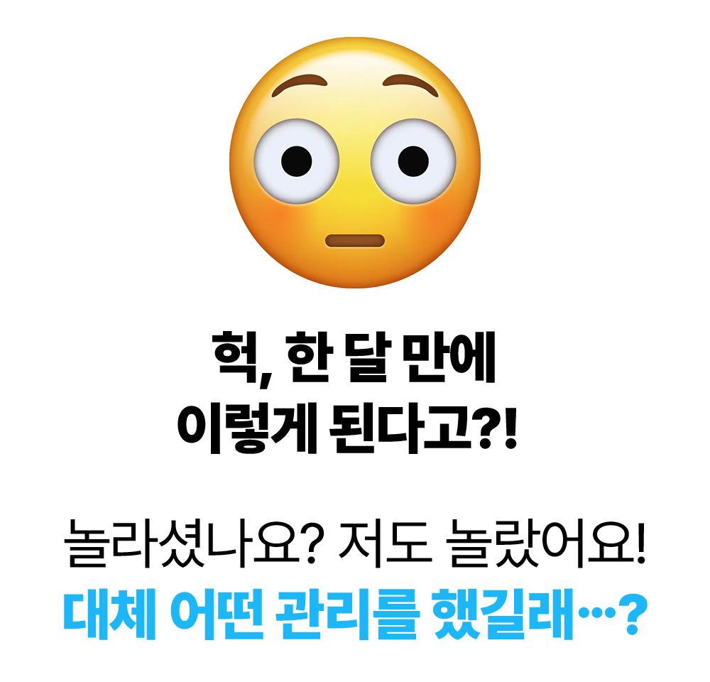 레이어 8.jpg