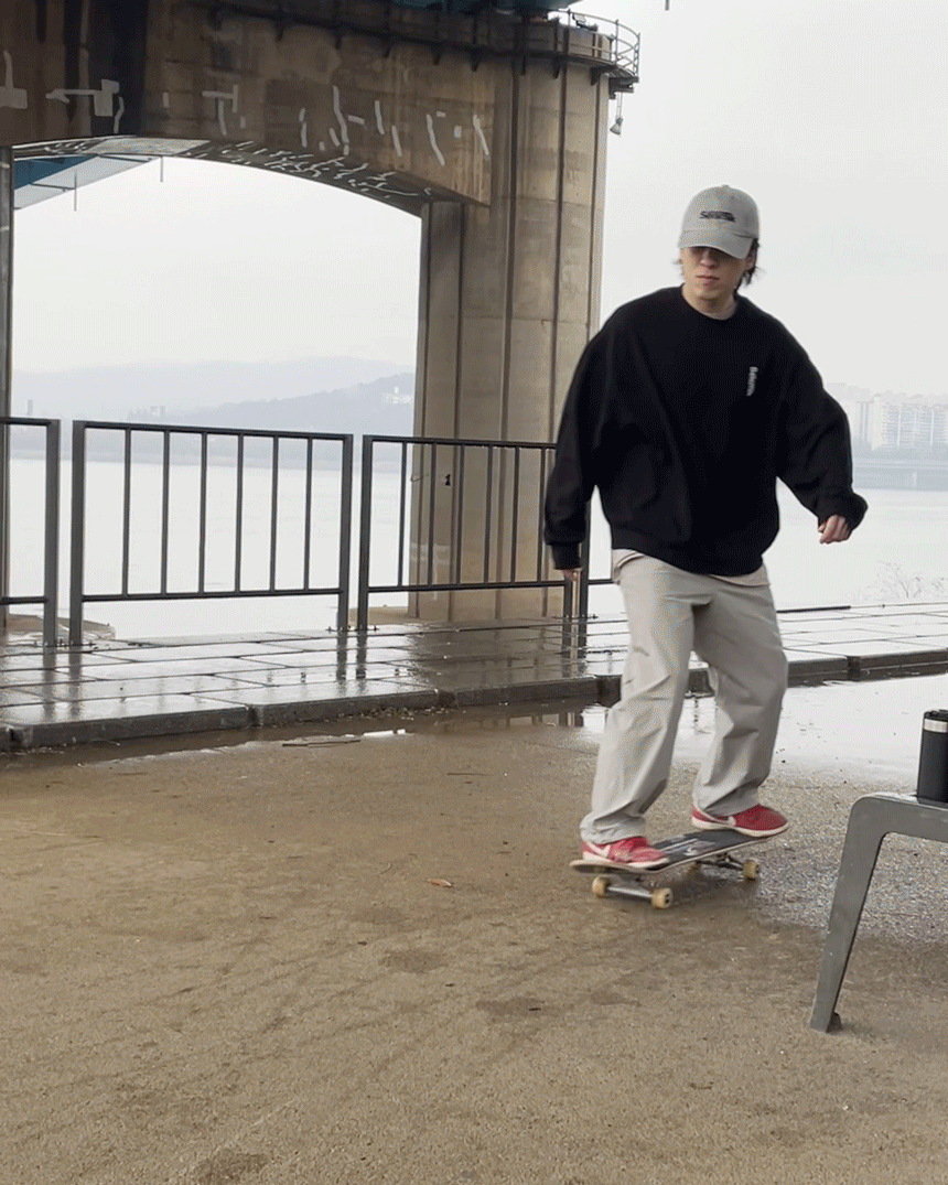Skate_10mb.gif