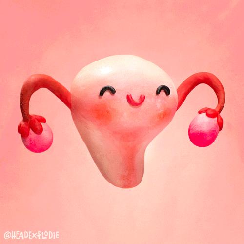 5.gif