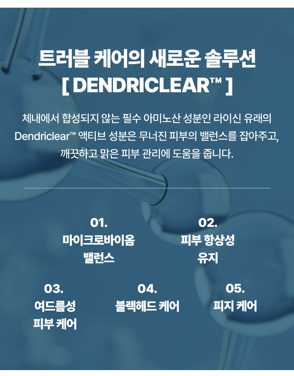 레이어 10.jpg