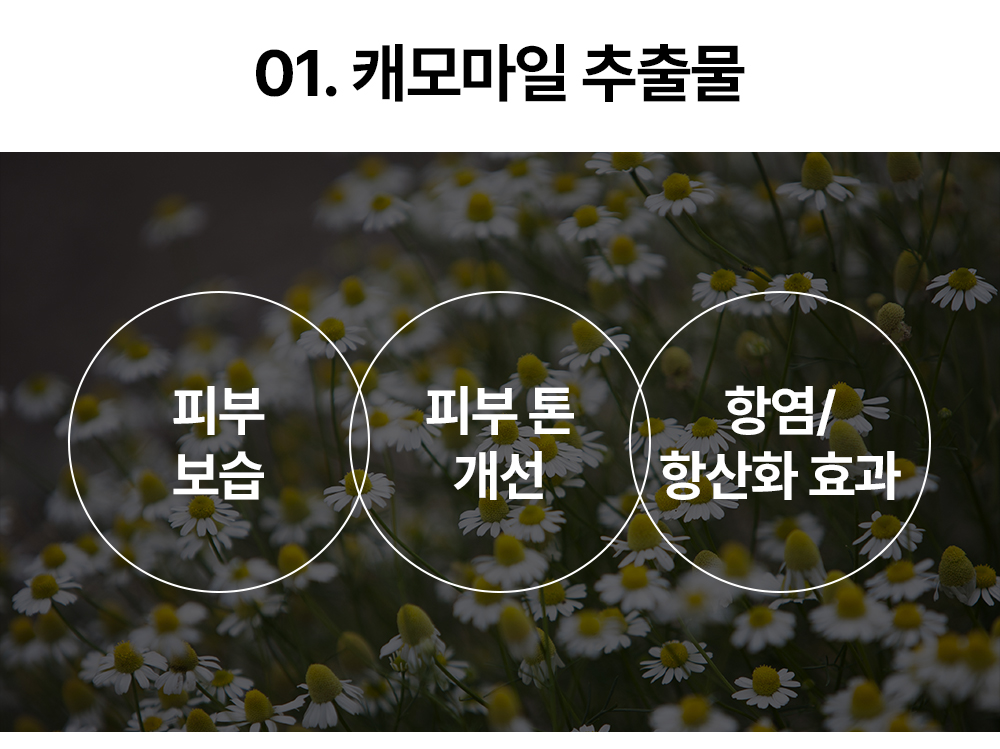 레이어 16.jpg
