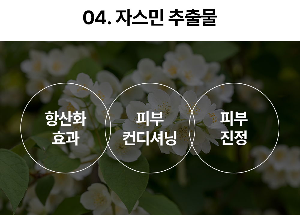 레이어 19.jpg