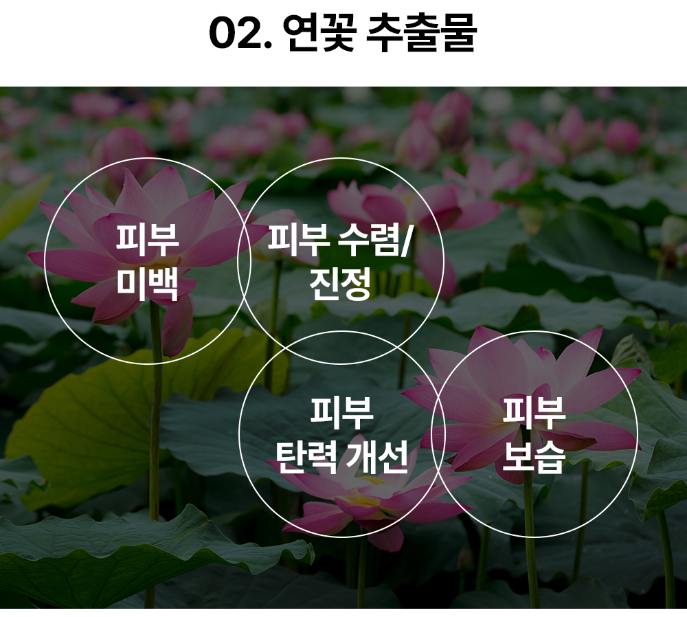 레이어 17.jpg