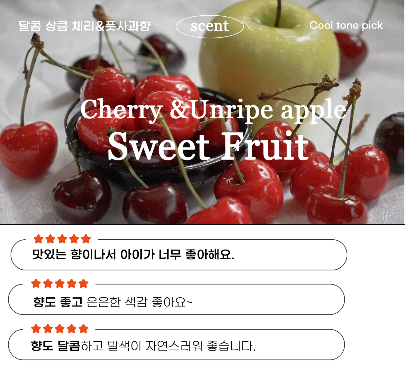 비트향.jpg