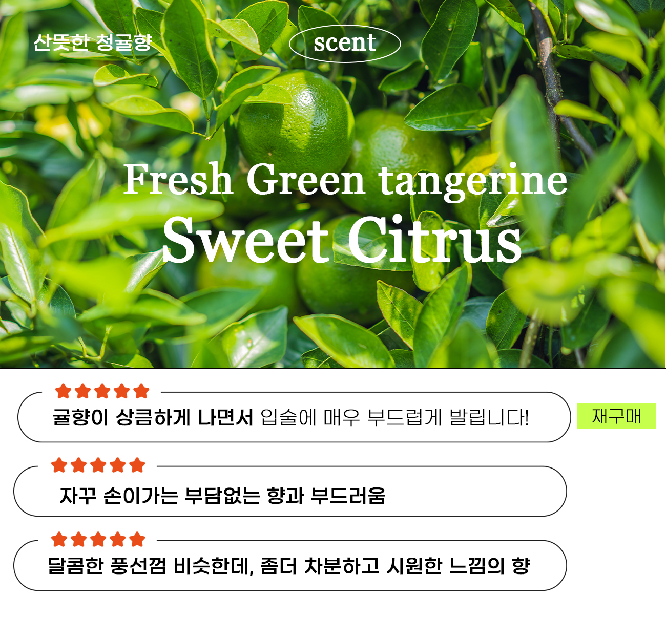 비건립밤_청귤향.jpg