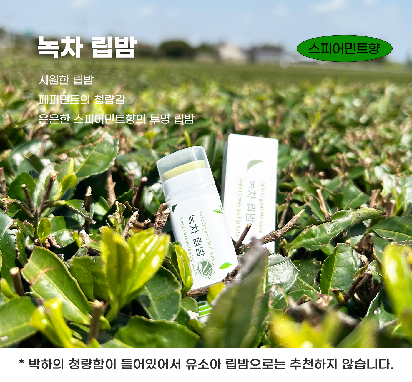 비건립밤_25.jpg