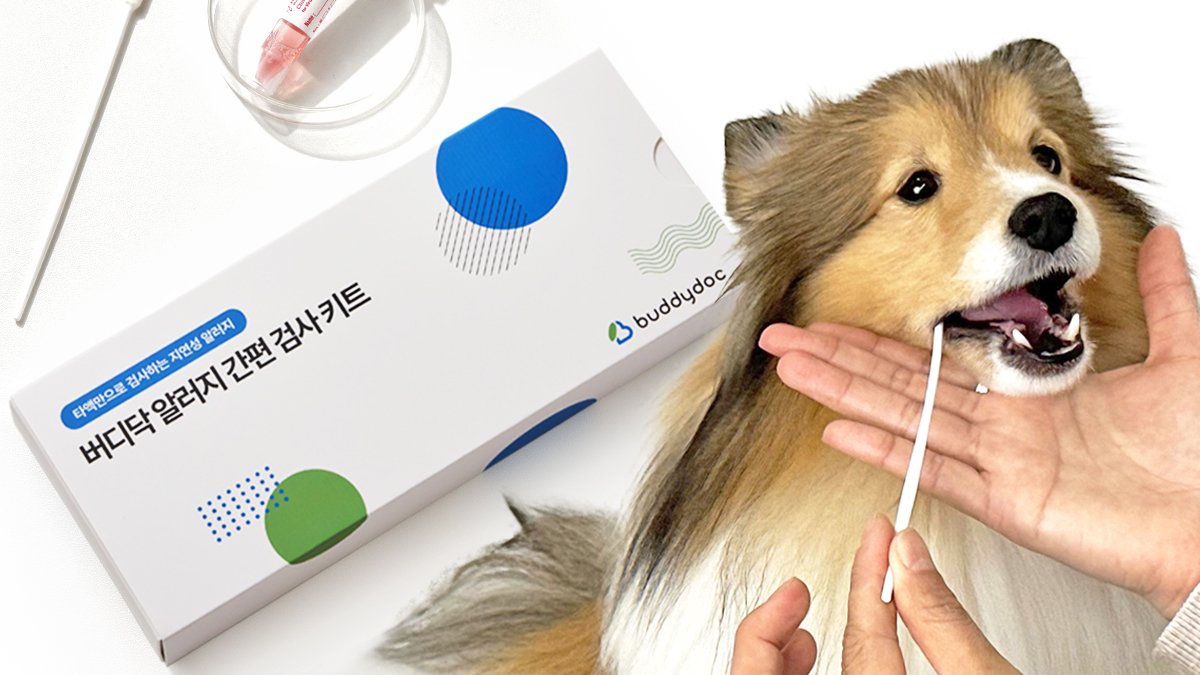 [BuddyDoc] 轻松在家！唾液检测宠物过敏