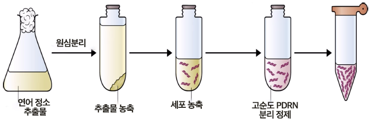 PDRN 분리정제 과정.png