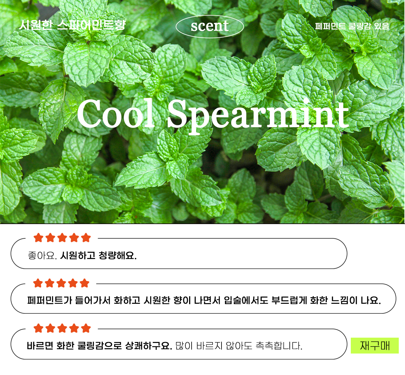 비건립밤_녹차립밤.jpg