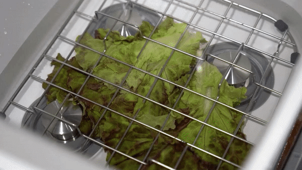 02a_gif.gif