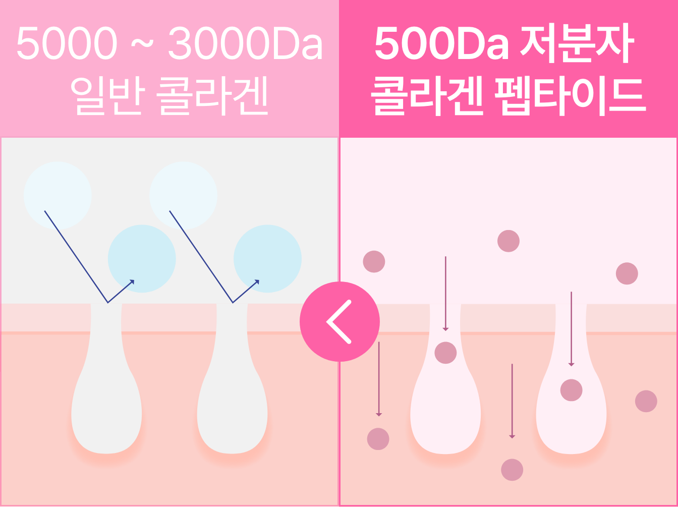 구성 요소 1 – 1.png