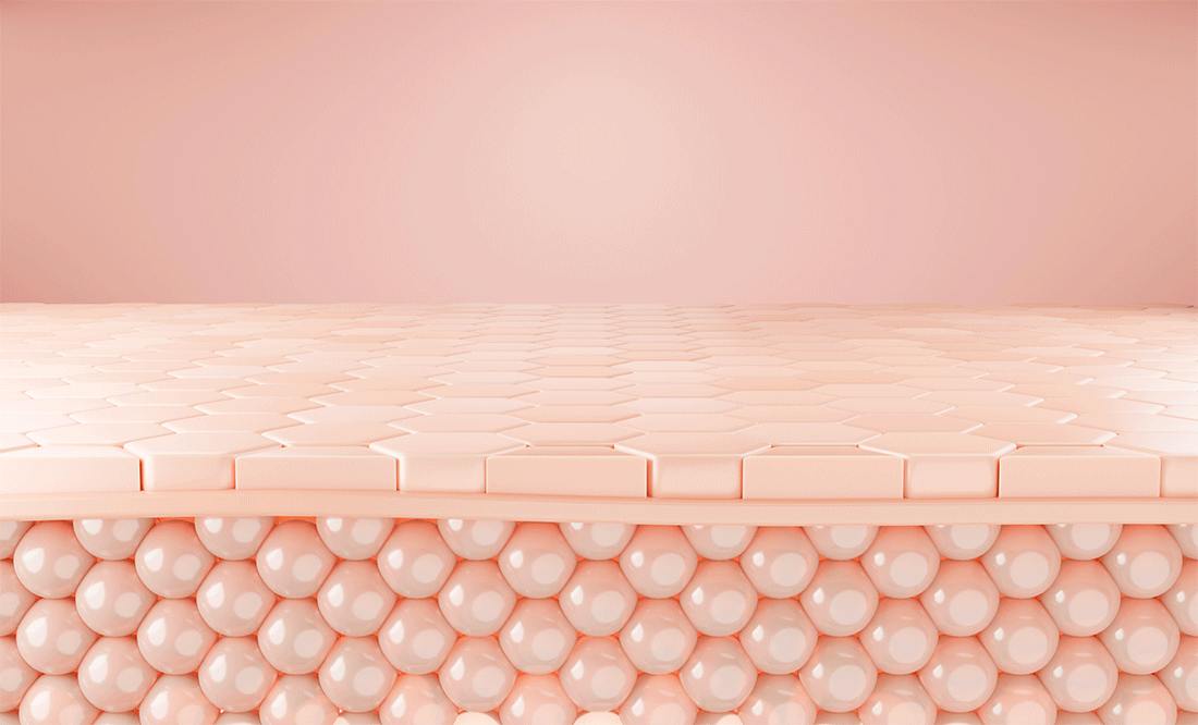 spicule.gif