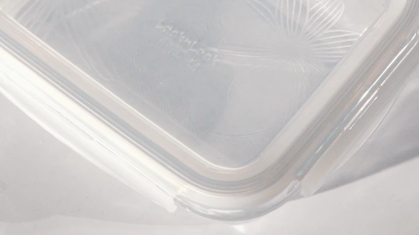 기존에는 날개가 있는데.webp