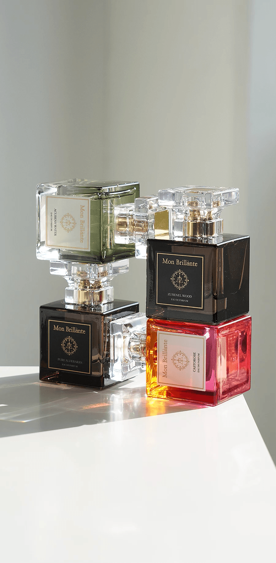 몽브릴란테 (21).gif