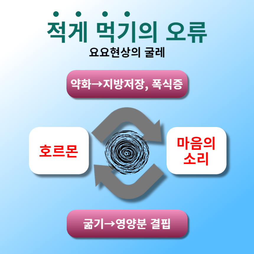 요요현상굴레.png