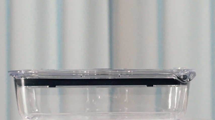 날개없는 모습.webp