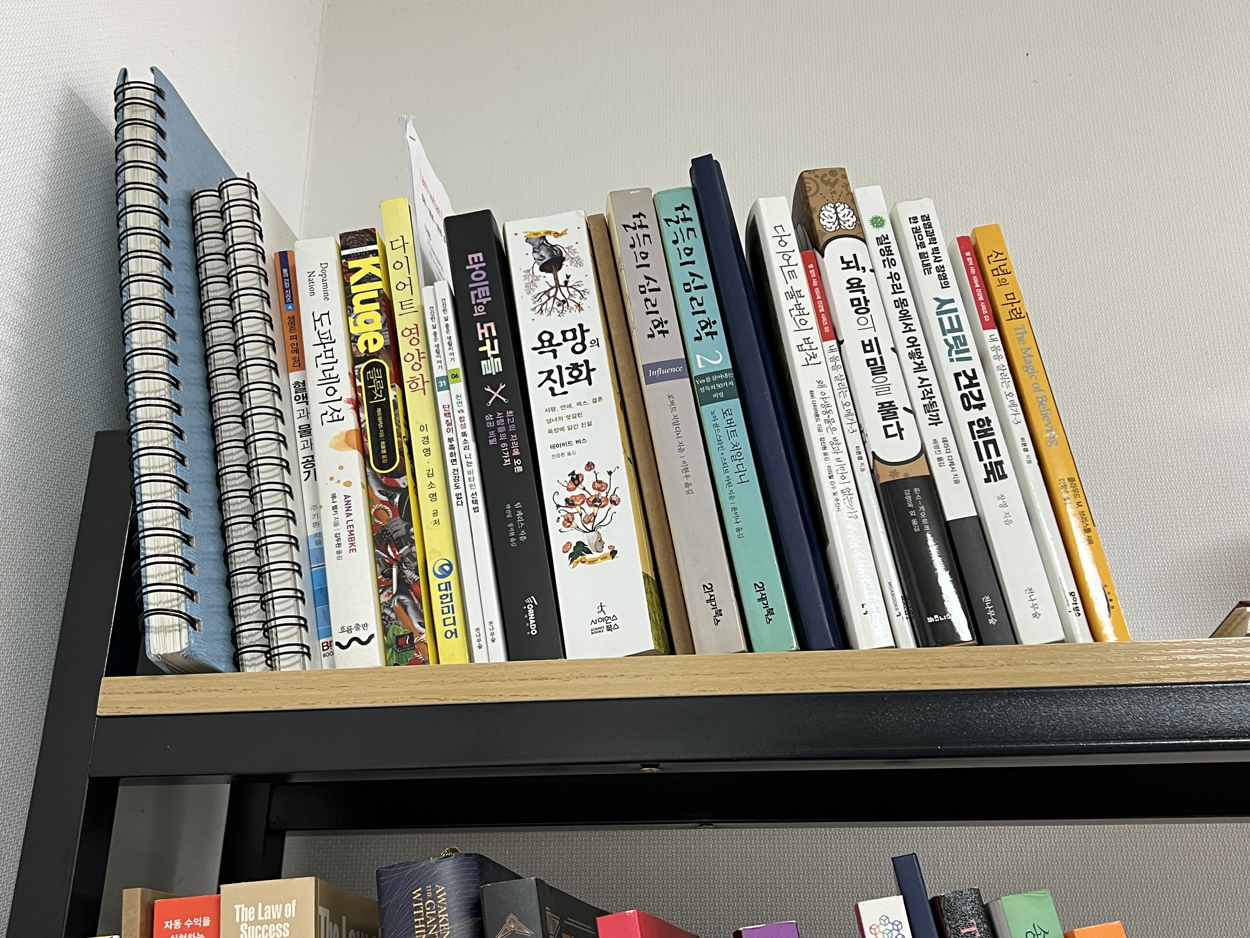 관련책들.jpg