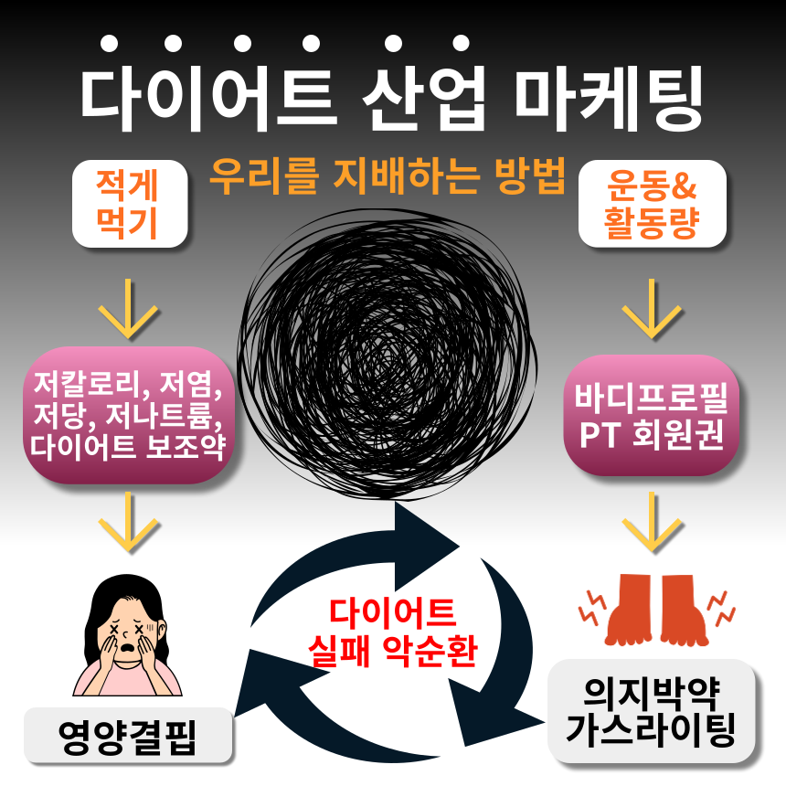 다이어트산업.png