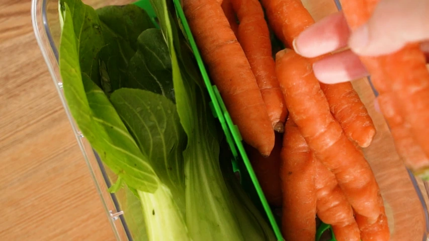 띄우개 나누개.webp