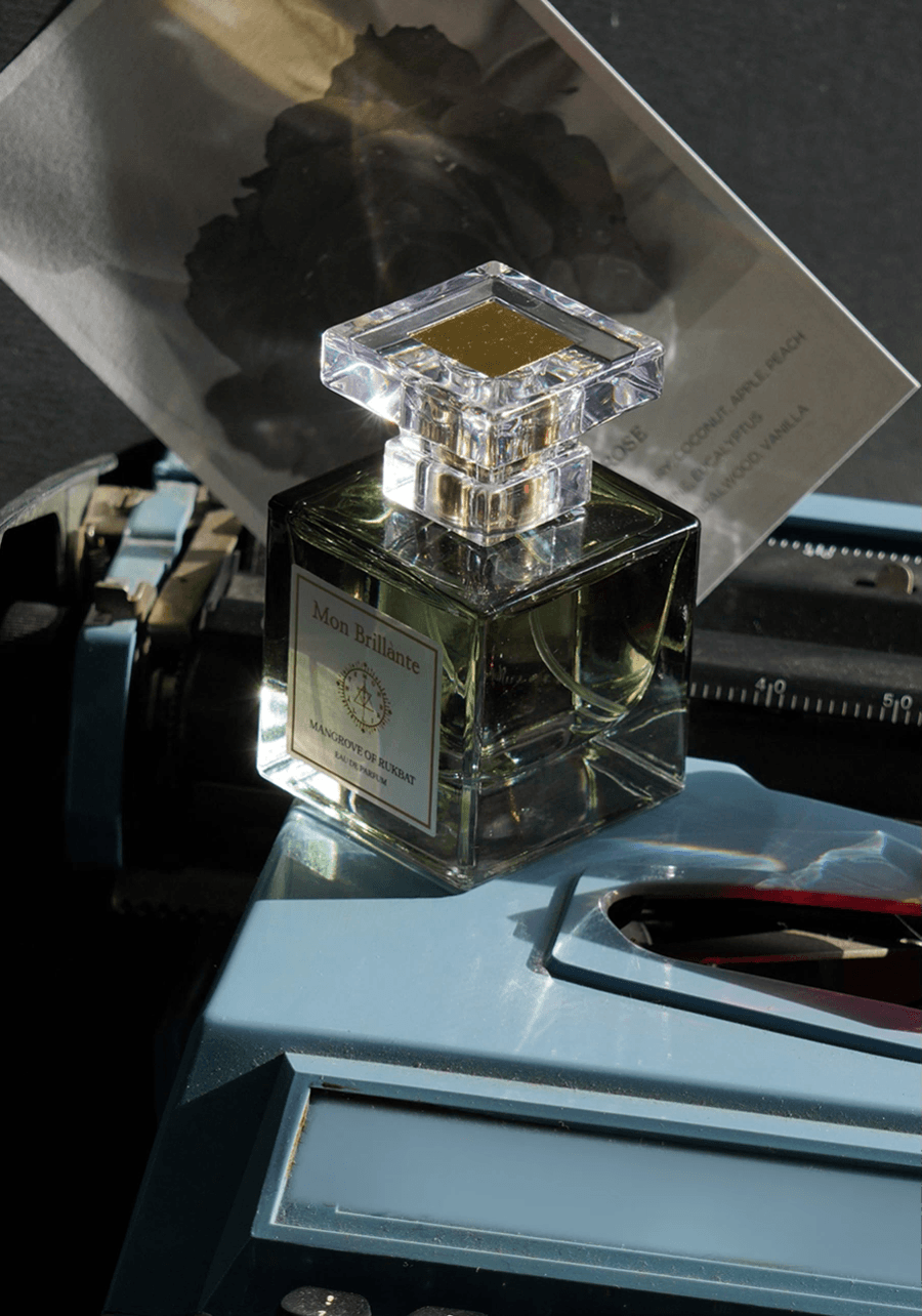 몽브릴란테 (11).gif