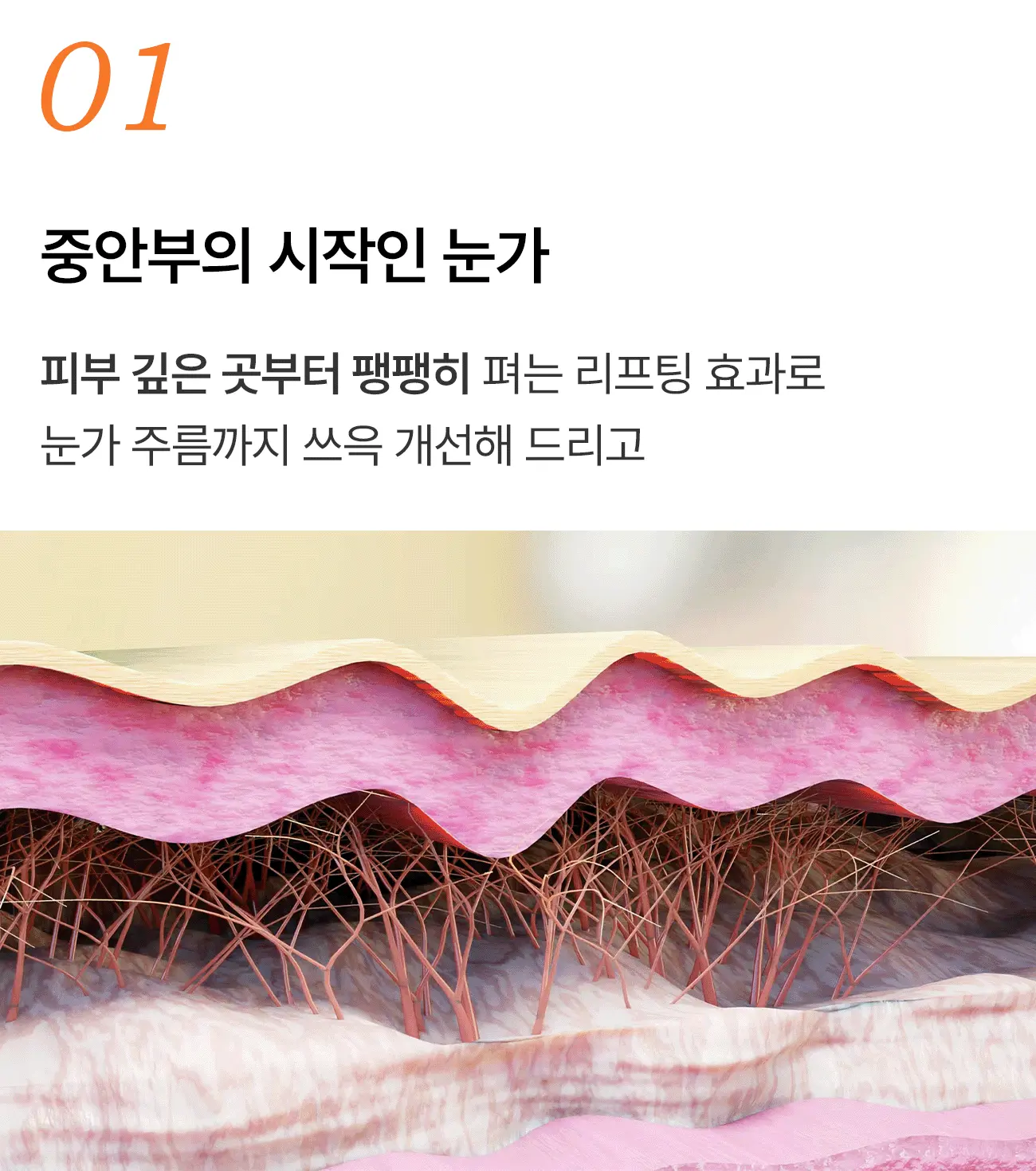 01 (webp).webp