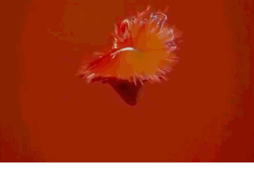 09_이벤트_03.gif