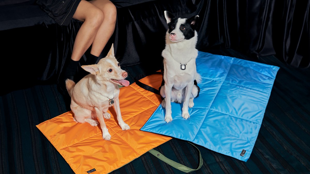 [宠物便携垫]平时变身时尚包，守护主人风格🖤