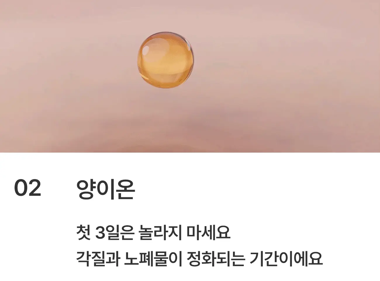 19_02 (webp).webp