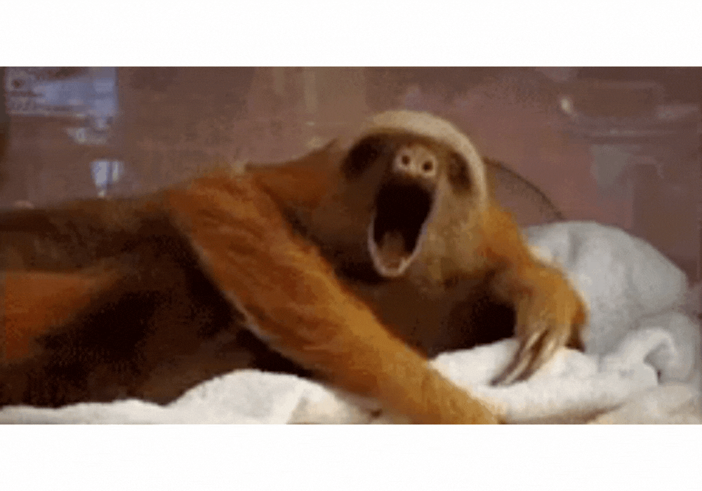 156c67cfff60cc49474c7a75fbe7273b.gif