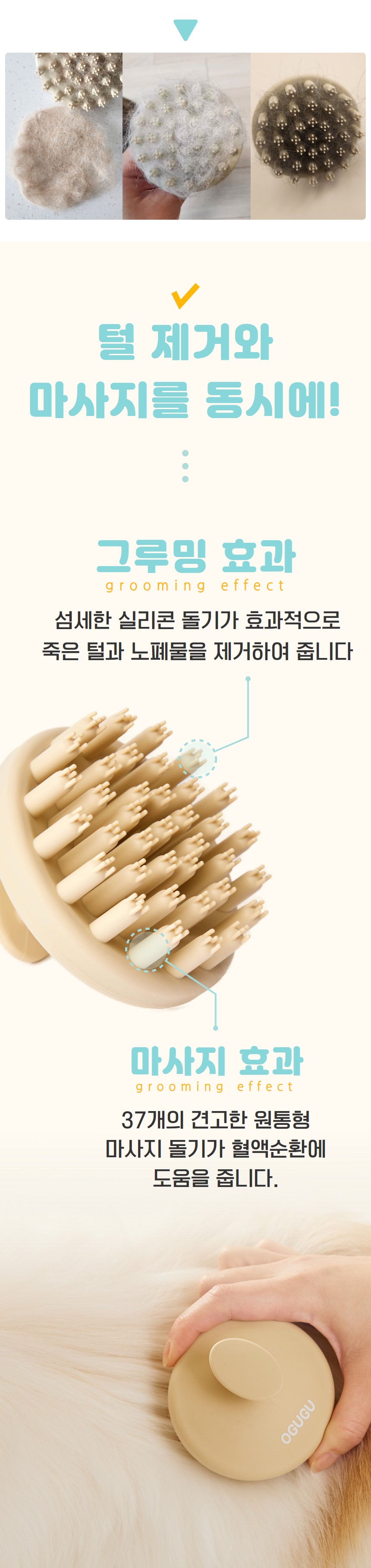 펫브러쉬 상페1-2.jpg