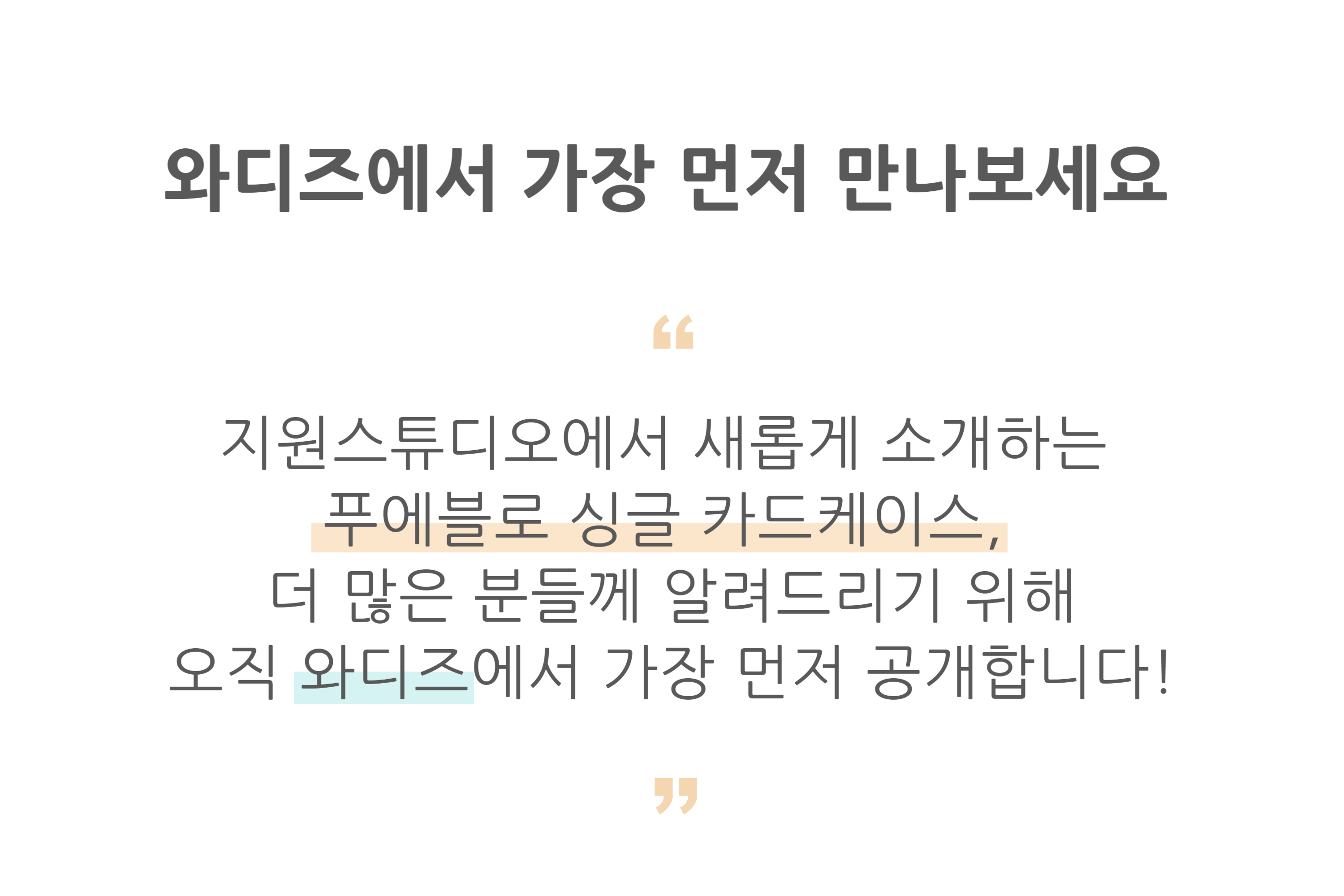 와디즈이유.png