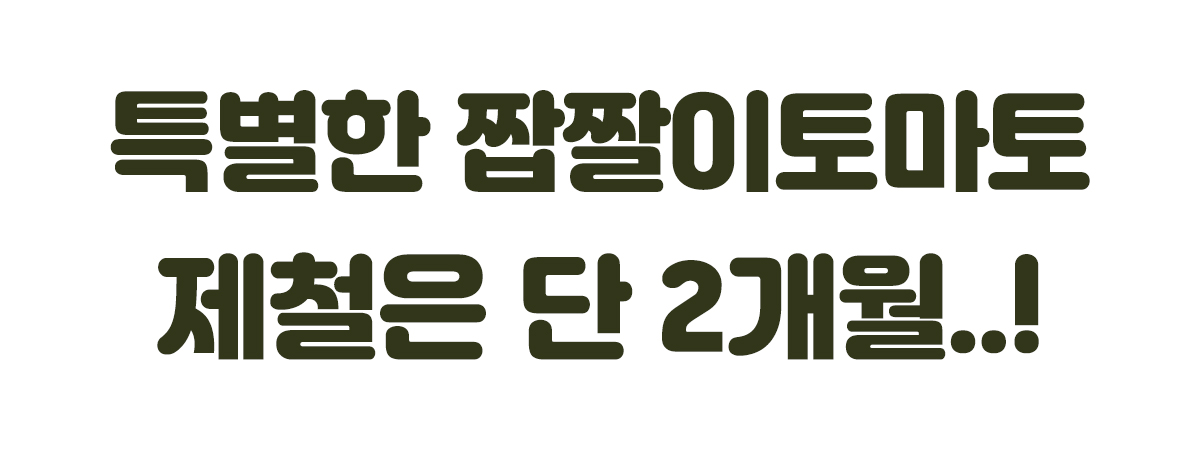 대제목8.jpg