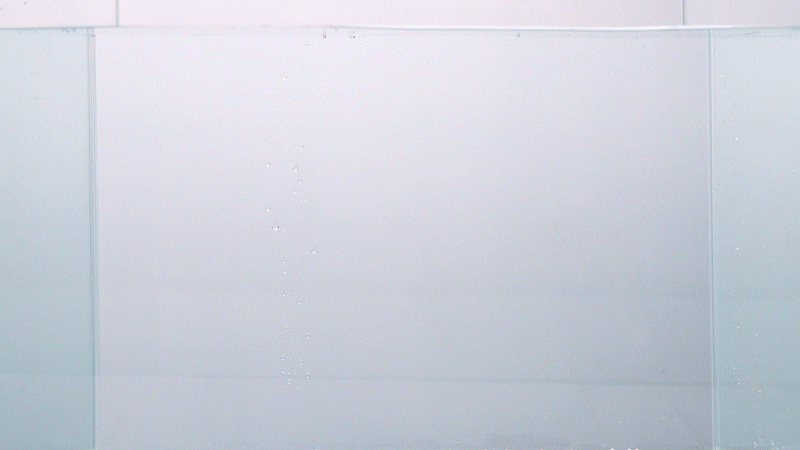 10.gif