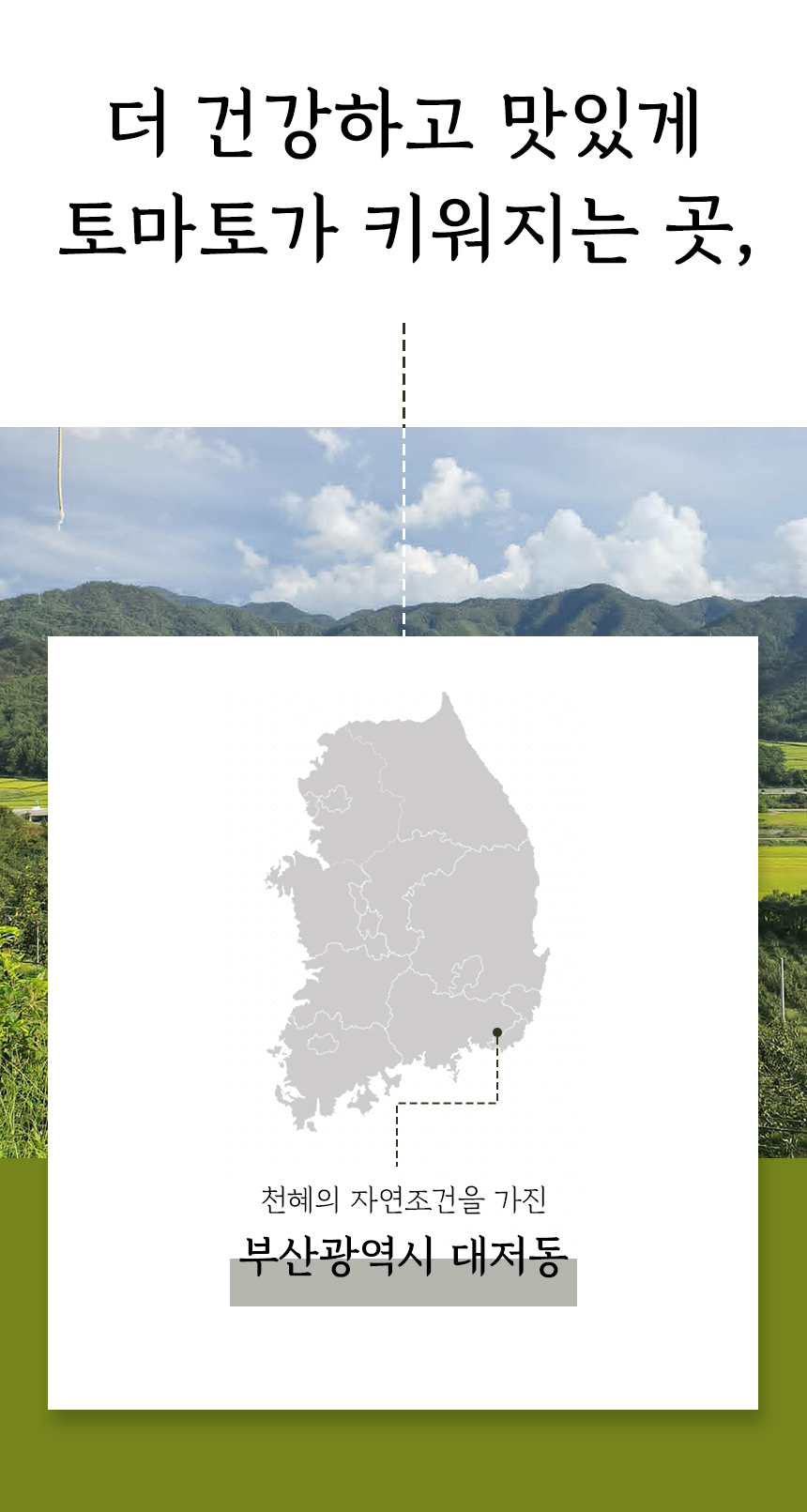 농장.jpg