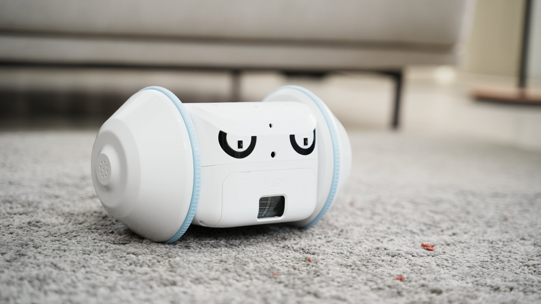 [TechWeek]智能宠物护理机器人-宠物班长，搭载鼻子嗅闻游戏与吠叫缓解APP