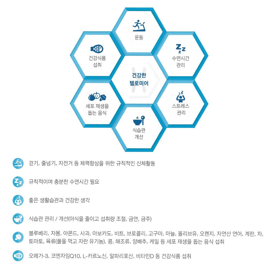 건강한 텔로미어.jpg