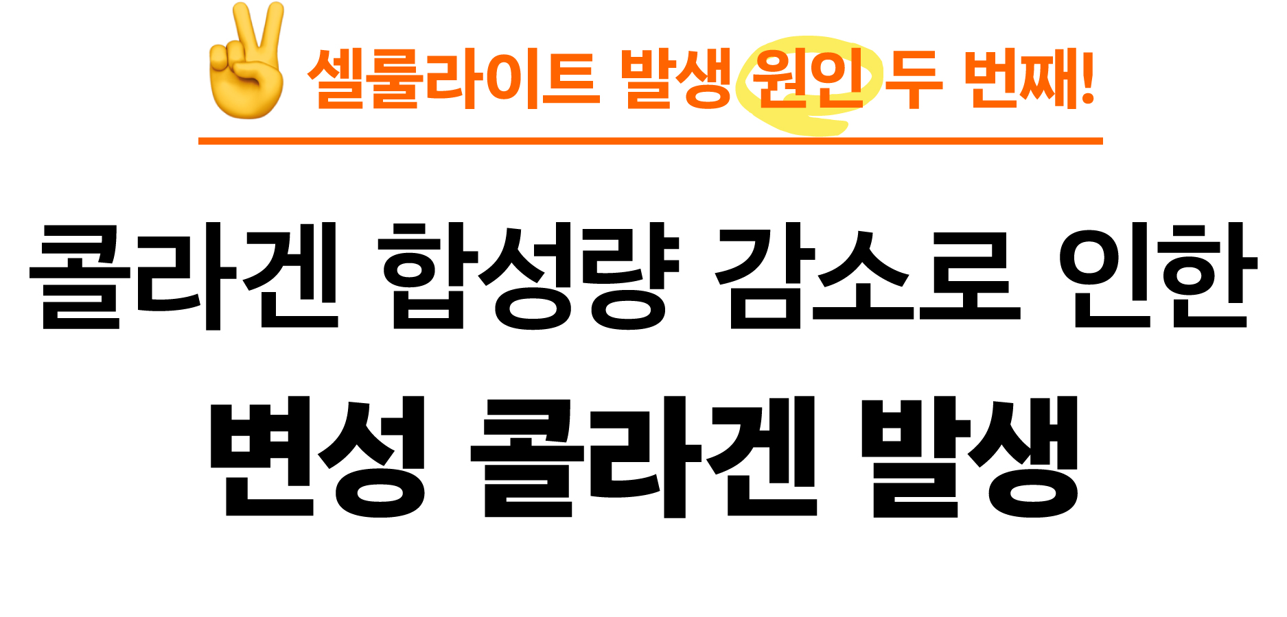메드라인_셀룰크림(최종)-41.jpg