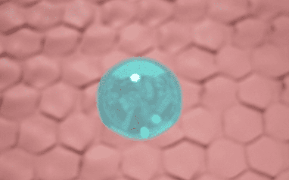 피부거칠기 개선.gif