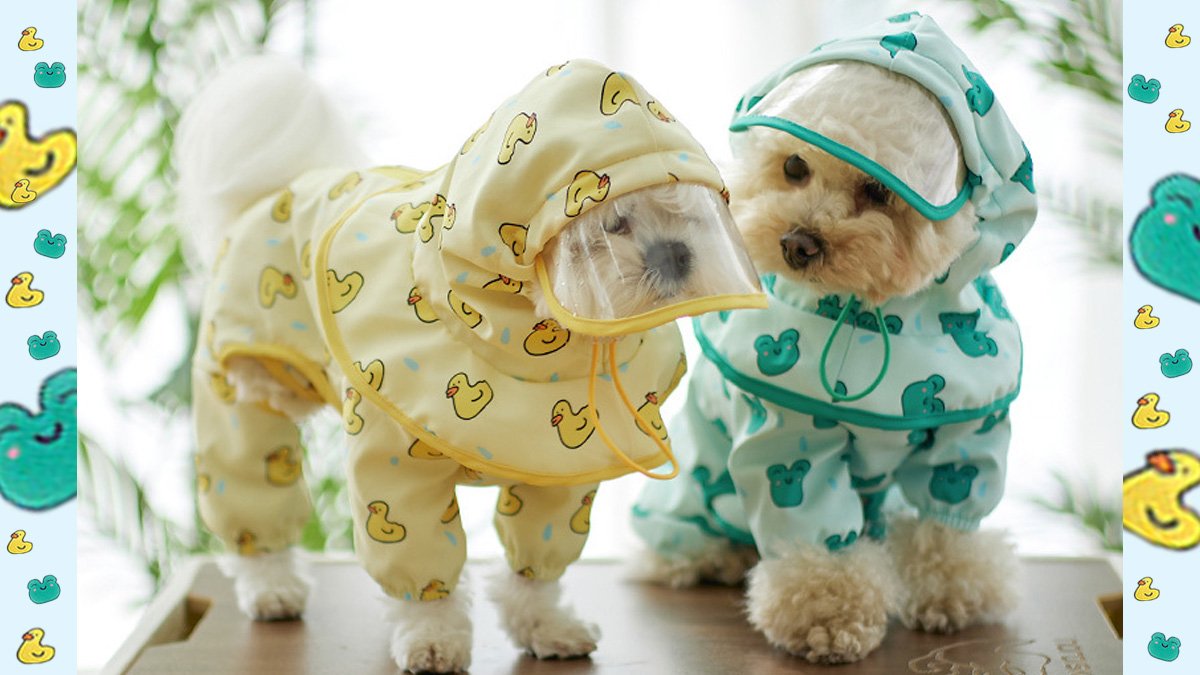 Keep dry on snowy rainy walks! Stylish ★Pet Raincoat Collection★