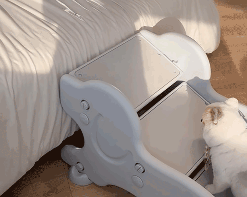0202최종)프롤리스텝_상세페이지_19_01.gif