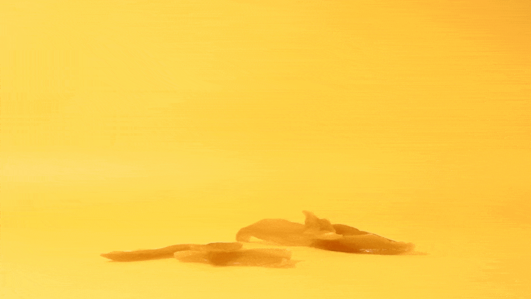 건망고_01_08_건망고가 후두두 떨어진다.gif