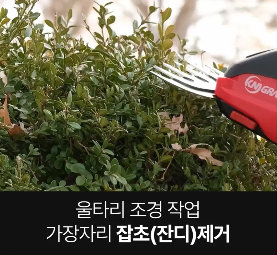 7.webp