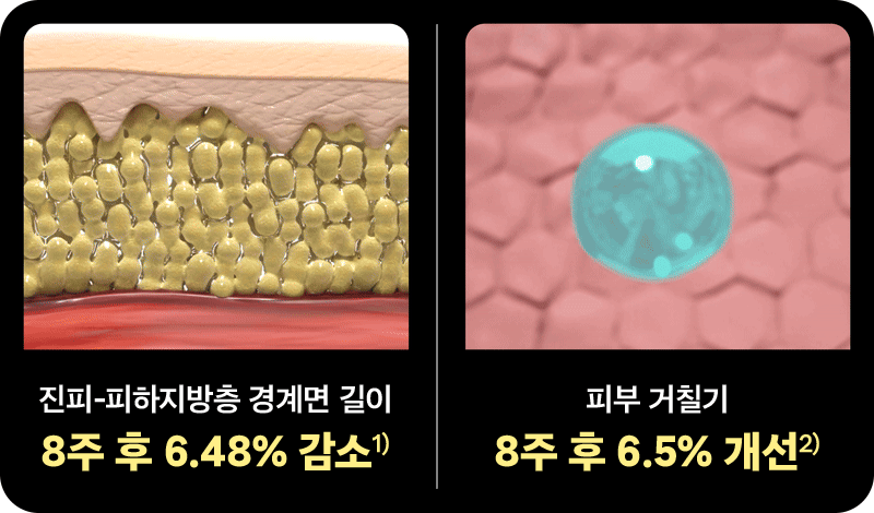 메드라인_셀룰크림(최종)-47.jpg