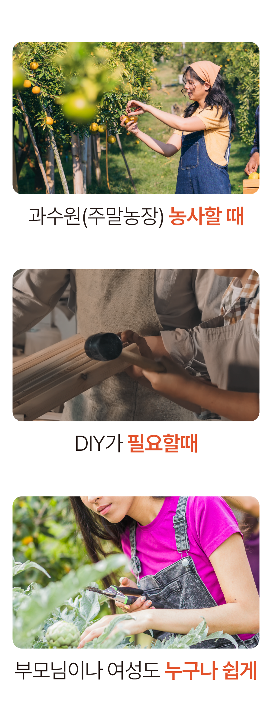 13.png