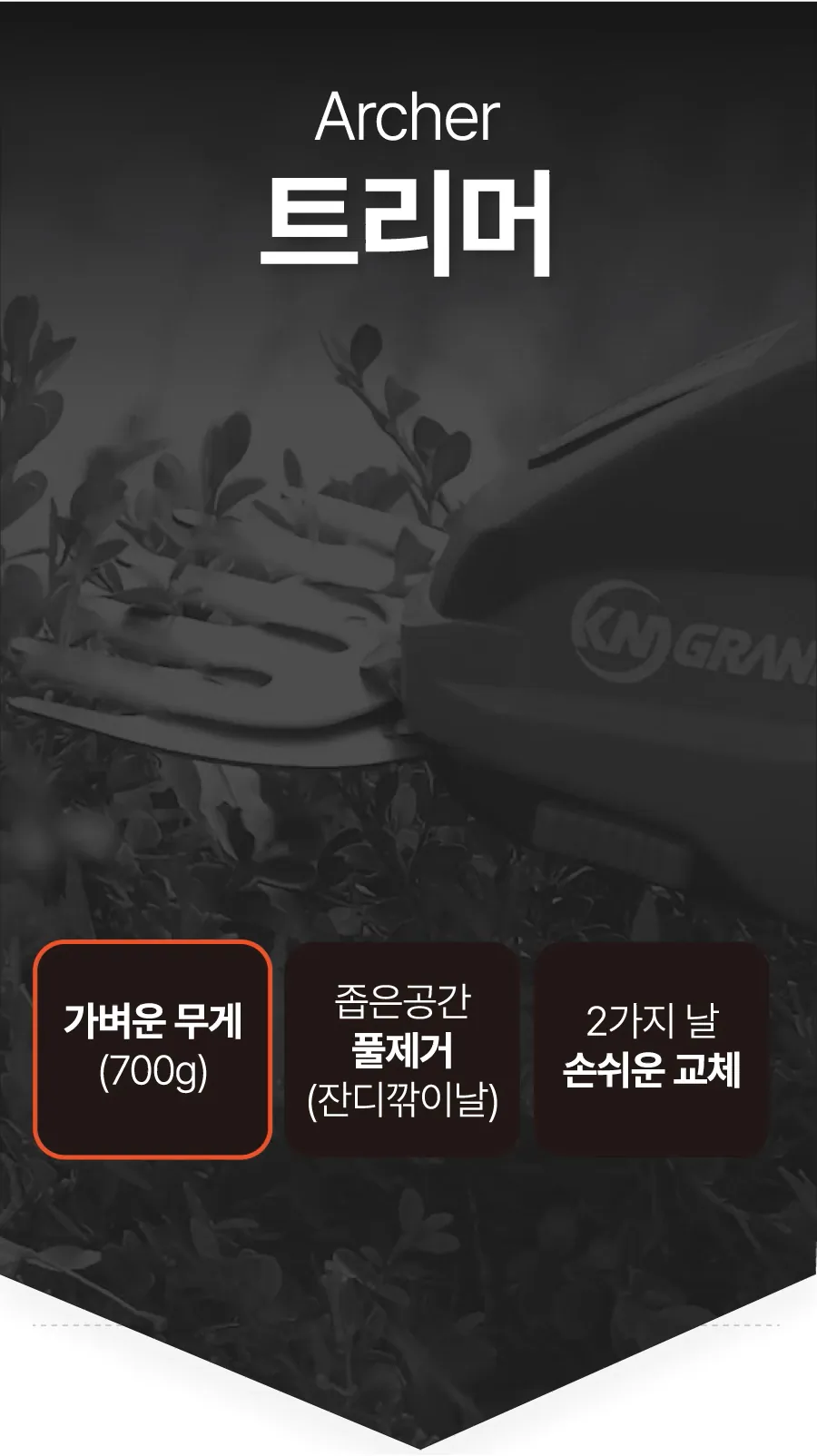 20.webp