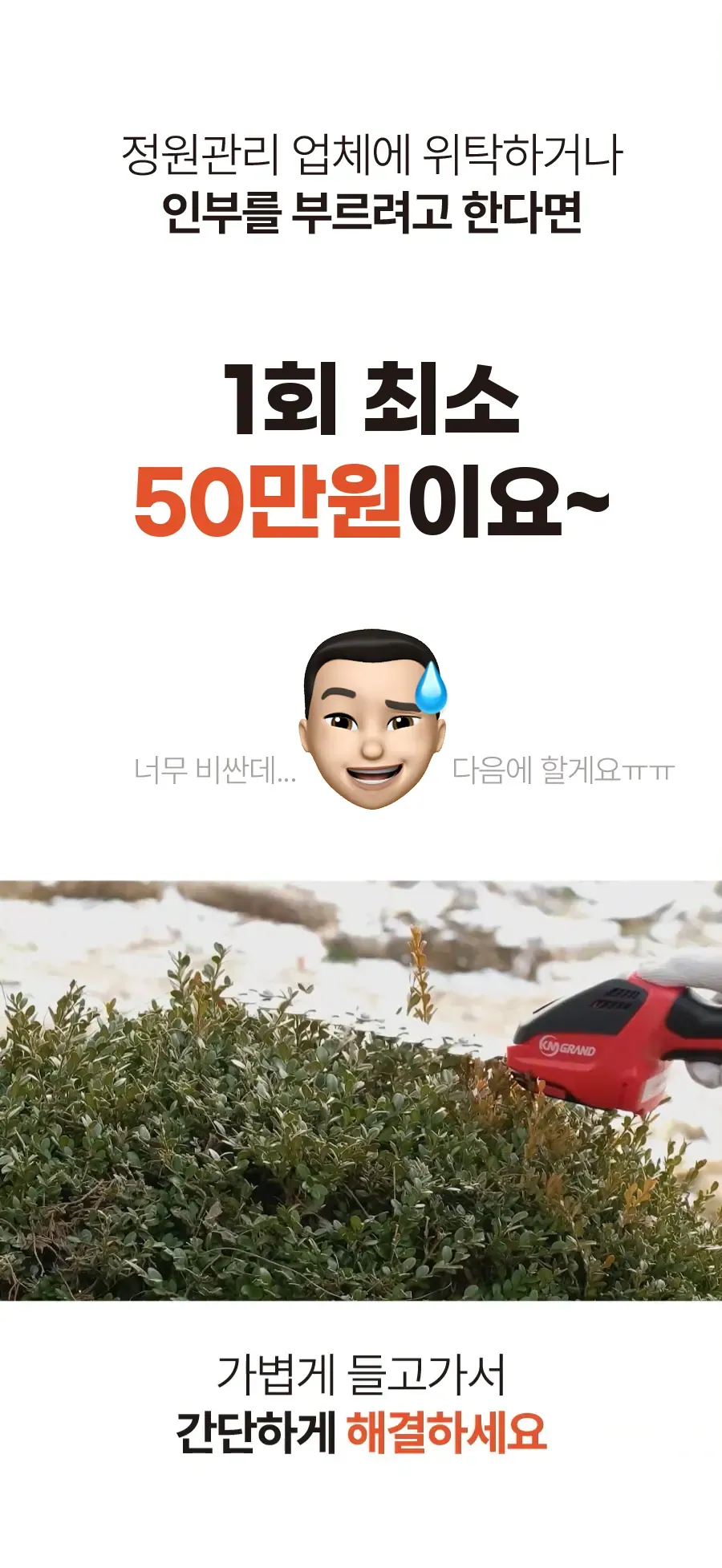 10.webp